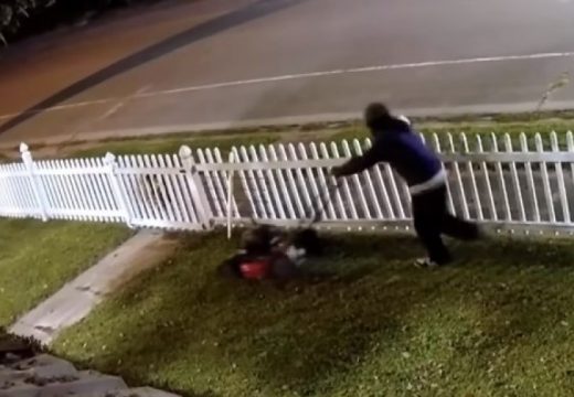 Ukrao kosilicu, pa vlasniku pokosio dvorište