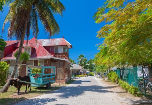 Ostrvo na kojem auto smiju imati samo oni koji će ga dijeliti s drugima