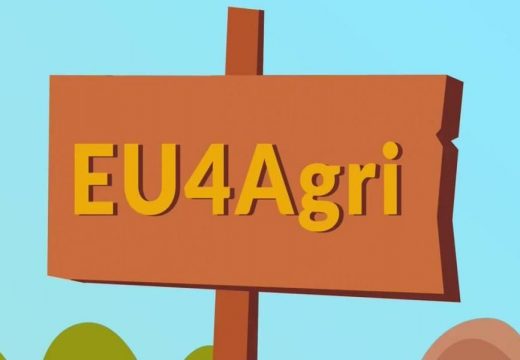Bespovratna sredstva za programe obuke o pripremi poslovnih planova