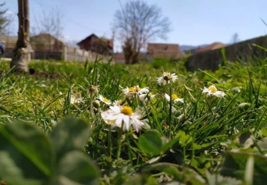 Vrela nedjelja je pred nama