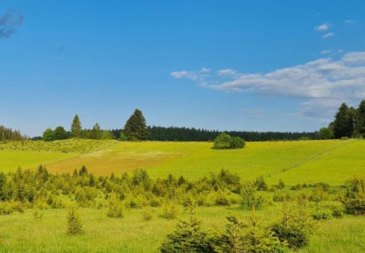 Poslije podne promjena vremena