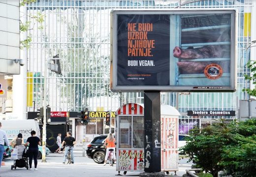 Svinja na bilbordima u Novom Sadu i poruka: Ne budi uzrok patnje, budi vegan