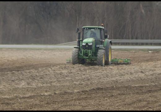 Povećana premija za pšenicu