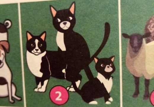 Sex u udžbeniku za drugi razred osnovne škole?!