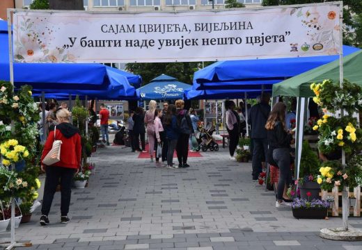 „U bašti nade uvijek nešto cvijeta“