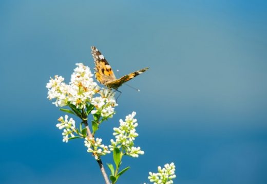 Evo kakvo nas vrijeme očekuje u narednih nekoliko dana