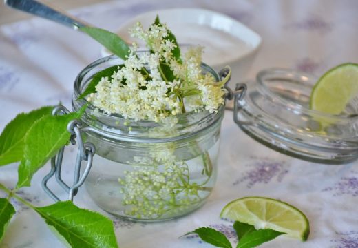 Odličan recept za domaći sok od zove