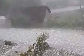 Snažno nevrijeme pogodilo Srbiju : Vjetar lomio stabla