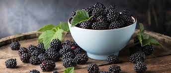 Nekoliko razloga zašto biste trebali jesti kupine