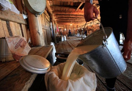 Blagi porast izvoza mlijeka u sjenci uvoza
