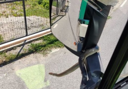 Zmija se s radnicima ukrcala i krenula na posao čišćenja grada