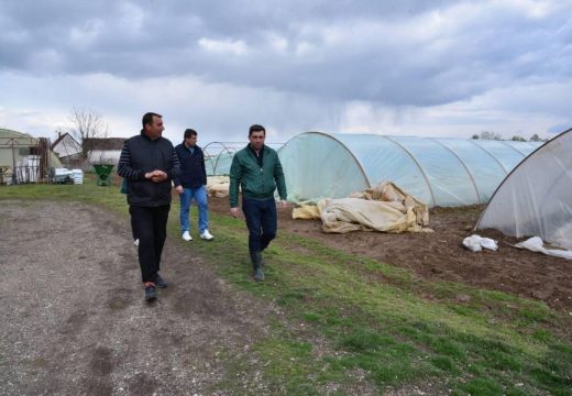 Isplaćena sredstva poljoprivrednicima zbog štete u plastenicima