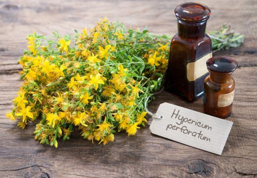 Kantarion ili gospina trava: Protiv depresije, za kožu, povrede…