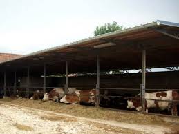 Farmeri u Srpskoj za litar nafte treba da prodaju četiri litra mlijeka