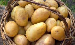 Da li i vi držite krompir u vodi prije kuvanja i pečenja? Stručnjaci objašnjavaju da li je to dobro