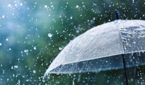 Danas pretežno oblačno, popodne padavine