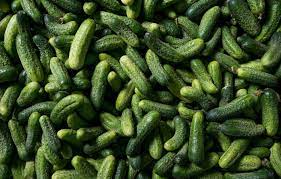 I ove godine problemi s izvozom kornišona