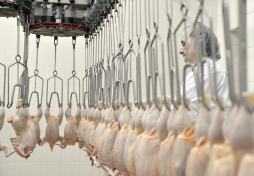 Konačno i neko pojeftinjenje :Piletina se vraća na meni