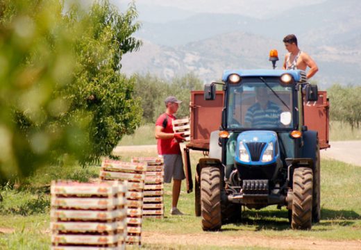 Finansijska injekcija za spas domaće proizvodnje