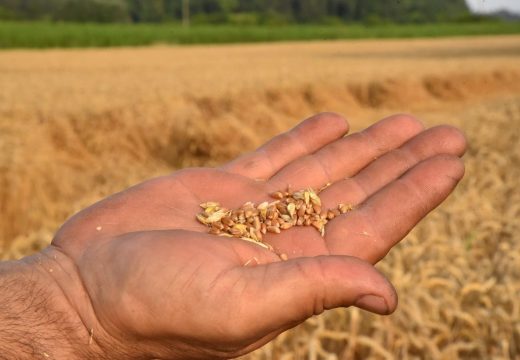 Nakon što je potvrdio, ministar Pašalić naprasno otkazao sastanak! A premijer se nije ni oglasio