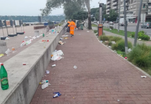 Za četiri dana sakupljeno 50 tona smeća tokom Egzit festivala