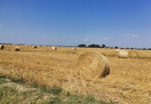 Danas i u narednim danima promjenjivo vrijeme, od sunca do kiše