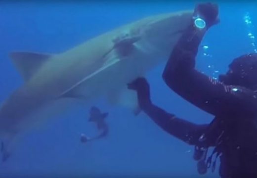 Druga žrtva stradala samo 500 metara dalje od mjesta gdje je poginula turistkinja