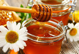 Pčelari zadovoljni sezonom:Teglica meda i do 30 KM