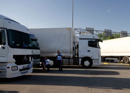 Izvoz majevičke šljive usporen zbog zastoja na granici