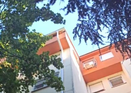 Mače četiri dana zaglavljeno na krovu zgrade (Video)