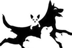 Broj pasa koje vidite na fotografiji otkriti će koja je vaša mentalna dob