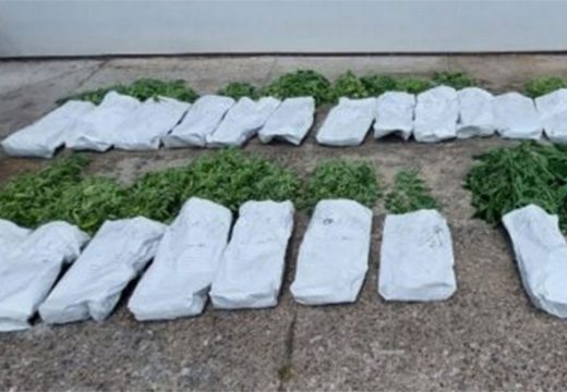 Brčko: Bračni par u pritvoru zbog uzgoja droge