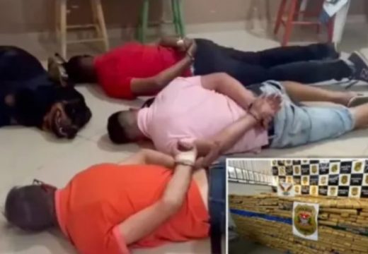 Pas legao na pod sa uhapšenim dilerima tokom racije