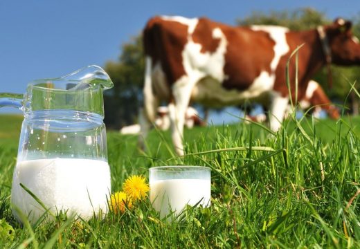 Poskupljenju mlijeka nema kraja