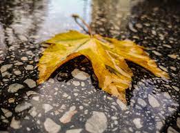 Danas u većini predjela kiša