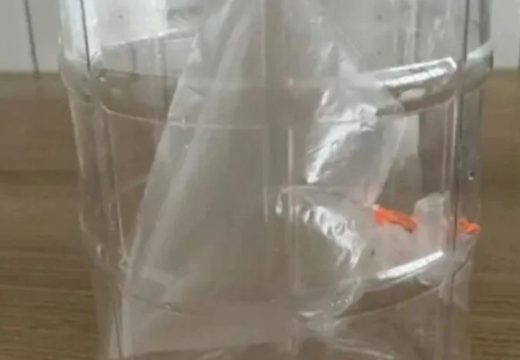 Fan američke pjevačice prodavao vrećicu vazduha s njenog koncerta