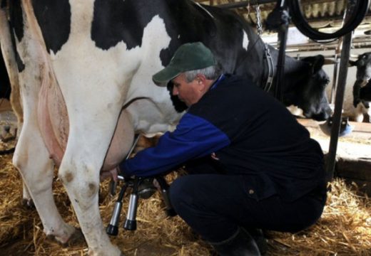 I fening više farme ostavlja u životu