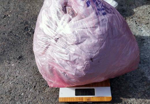 Oduzeto više od kilogram skanka, uhapšena četvorka