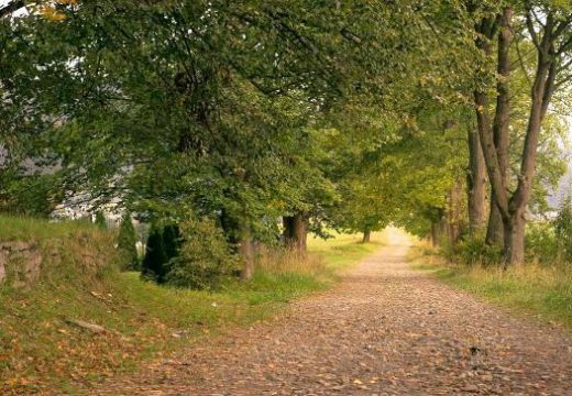 Danas pretežno oblačno, temperatura do 22 stepena Celzijusova