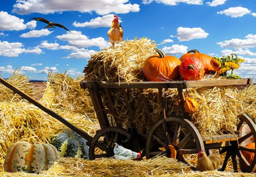 Danas hladno,ponegdje kiša