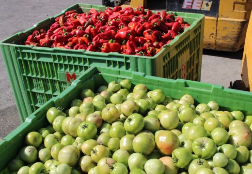 Prerađevine od voća i povrća  skuplje od 40 do 50 odsto