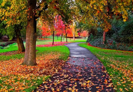 Kako jesen utiče na zdravlje?