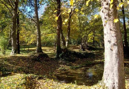 Pretežno sunčano na početku nove sedmice