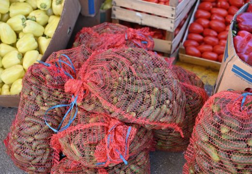 Manjak radnika i suša prepolovili izvoz kornišona iz BiH