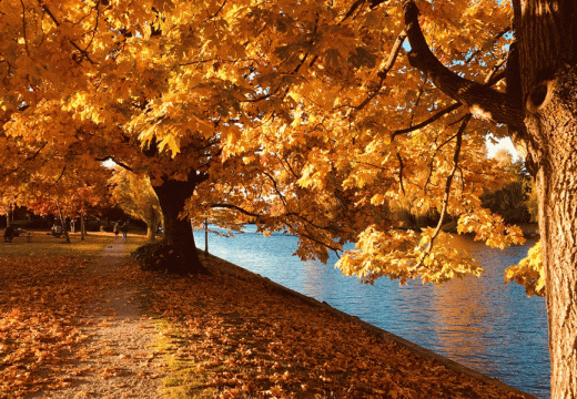 Danas sunčano i toplo