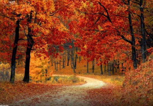 Danas sunčano i još toplije