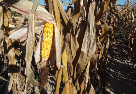 Jednoglasno podržana odluka o pomoći poljoprivrednicima