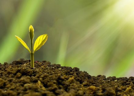 Ministarstvo poljoprivrede isplatilo 1.262.914 KM za podsticaje za poljoprivrednu proizvodnju