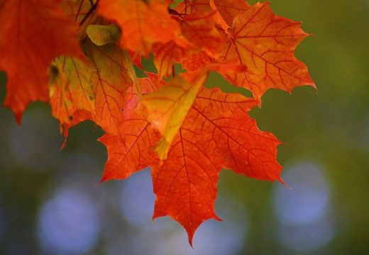Danas oblačno i osjetno hladnije vrijeme