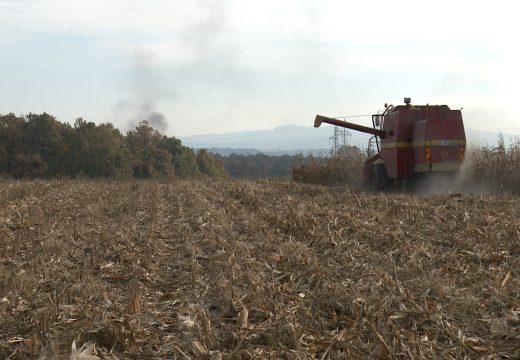 Danas počinje probni popis poljoprivrede